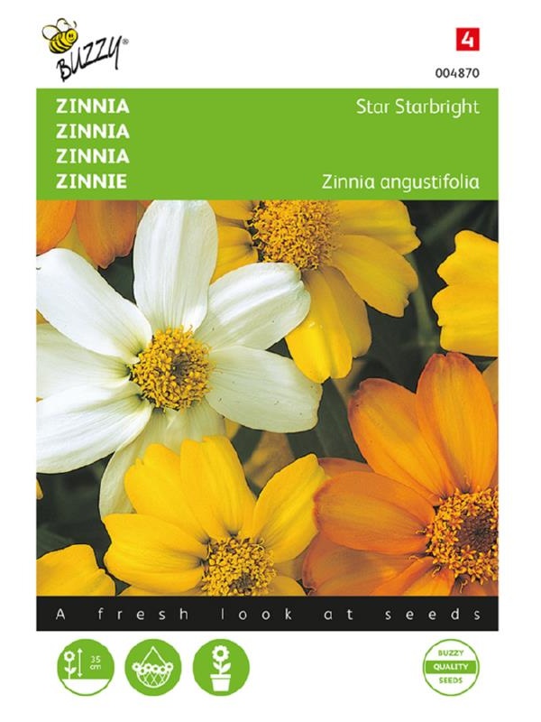 Zinnia angustifolia Star Starbright Mix 20 semien