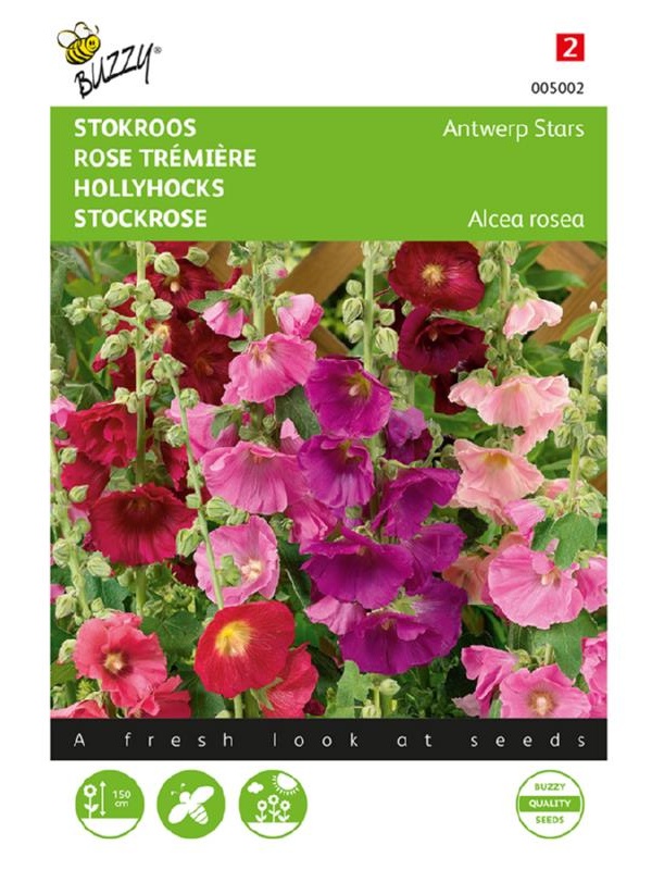 Alcea rosea Antwerp Stars Mix cca 0,5 g semien