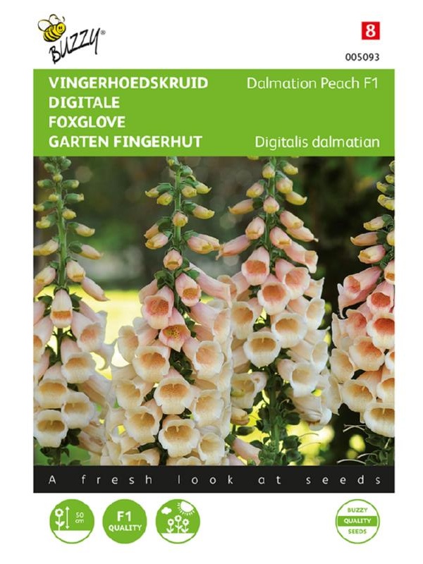 Digitalis purpurea, náprstník, Dalmatian Peach F1 cca 25 semien