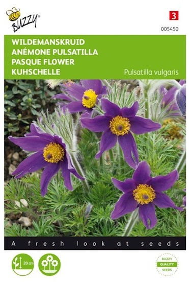 Pulsatilla vulgaris, Poniklec obyčajný 0,1 g
