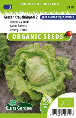 Šalát ľadový Grazer Krauthäuptel 2 BIO 0,4 g