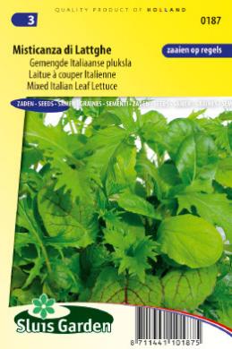 semena, semena perilla, erba stella, wild rocket, rukola, zmes listových šalátov