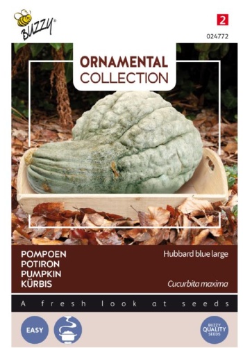 Tekvica Hubbard Large Blue cca 3 g.