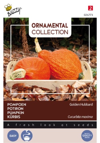 Tekvica Golden Hubbard cca 2,5 g.