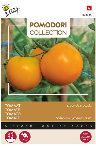 Rajčiak indeterminantný Zloty Ozarowski cca 1,5 g