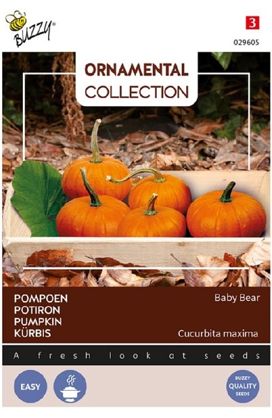 Tekvica Baby Bear cca 1,5 g