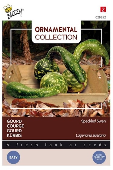 Okrasná tekvica Lagenaria siceraria Škvrnitá labuť 2,5 g