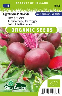 cervena repa, semena cervenej repy, semena cvikly