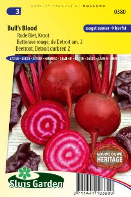 cervená repa, semená repy, semená, pásikavá repa, repa s bielymi krúžkami 