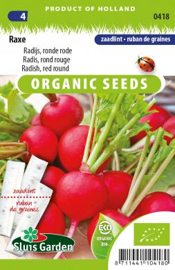 redkovka, výsevný pásik, semená, semená redkovky,