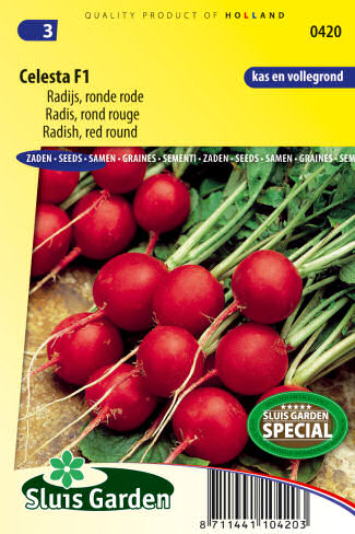 Redkovka cervená gulatá Celesta F1 semena zeleniny, zeleninove semena