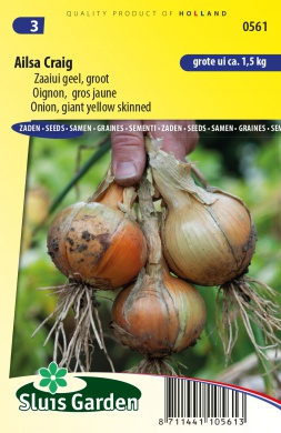 Cibuľa žltá obrovská Ailsa Craig cca. 1 g cca. 225 semien