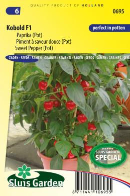 Paprika sladká Kobold F1 ±8 semien