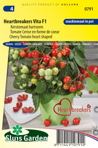 semena, rajciny, semena paradajok, srdieckove rajciny, cherry rajciny