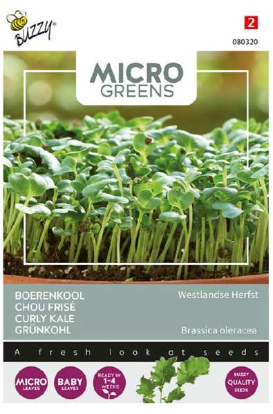 Kel na microgreens cca 1 g
