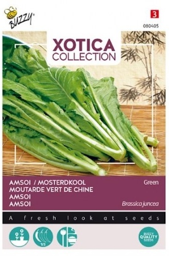 Šalát Amsoi zelený cca 3 g