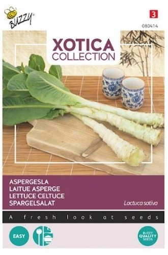 Šalát stonkový Celtuce cca 1 g