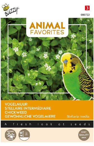 Animal Favorites Chickweed  Stellaria media, hviezdica prostredná cca 2 g