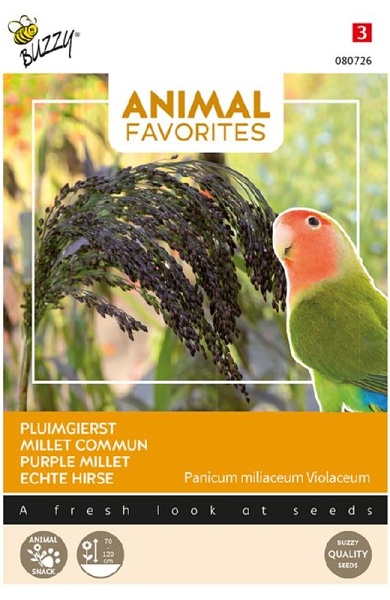 Panicum miliaceum (Proso siate) cca 5 g