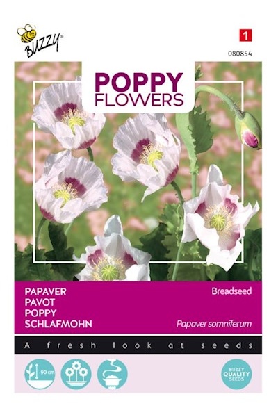 Papaver somniferum Okrasný jedlý mak, Breadseed cca 1 g.