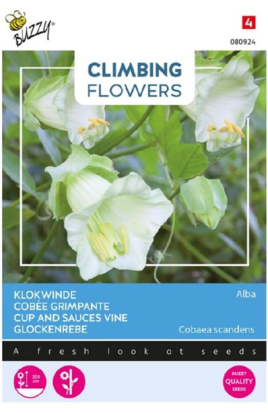 Cobaea Alba White cca 2 g