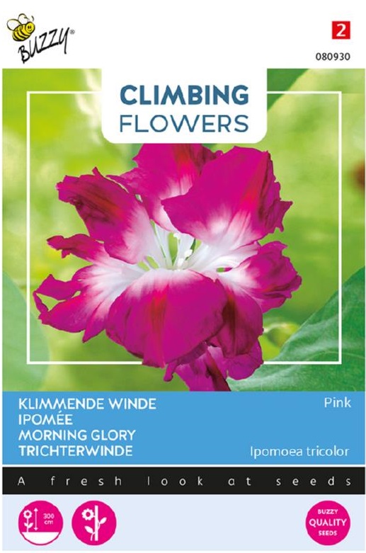 Ipomoea tricolor ružová plnokvetá cca 2 g semien