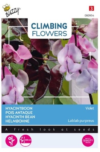 Dolichos lablab, ťahavá fazuľa cca 3 g semien