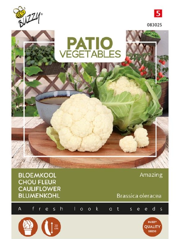 Karfiol Amazing cca. 20 semien