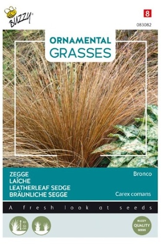Carex comans (Ostrica) Bronco cca. 10 semien