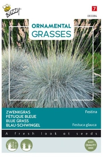 Festuca glauca (Kostrava sivá) Blue Grass Festina cca. 10 semien