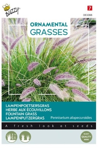 Pennisetum alopecuroides (Perovec) Fountain Grass cca. 0,1 g semien