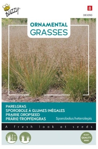 Sporobolis heterolepis, Prairie Dropseed cca. 0,05 g semien