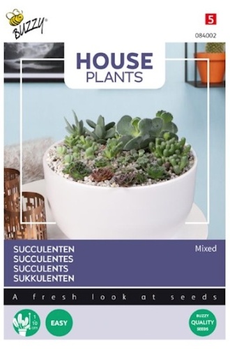 Zmes sukulentov, Izbové rastliny cca. 7 semien