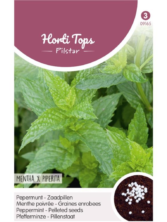 Mäta prieporná, Peppermint, Mentha x piperita cca 100 peliet