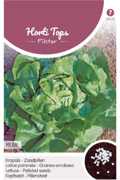 Peletované semená, šalát hlávkový, šalát Milan, semená hlávkového šalátu, šalát, 