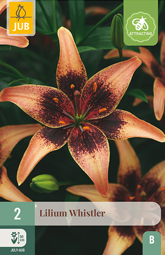 ĽALIA WHISTLER - 2 ks