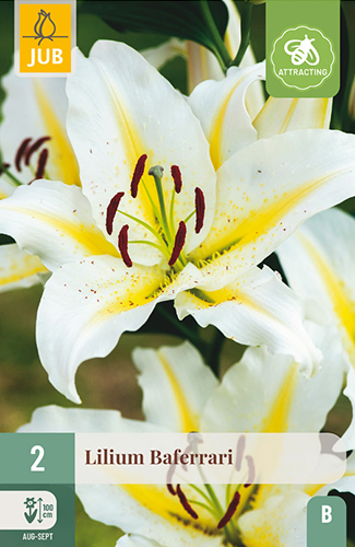 ĽALIA BAFERRARI - 2 ks