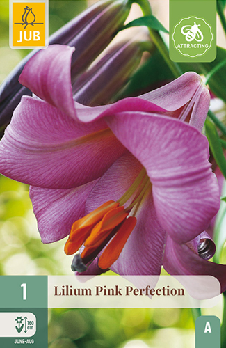 ĽALIA PINK PERFECTION - 1 ks