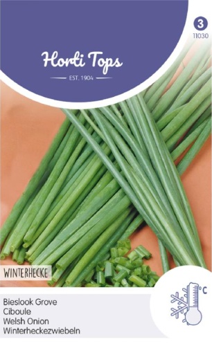 Cibuľa zimná, Welsh onion cca 2g