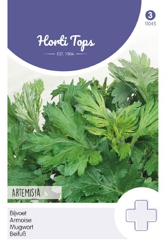 Artemisia vulgaris cca g