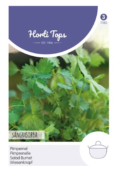 semená krvavec, krvavec lekársky, Pimpinella, Sanguisorba minor,