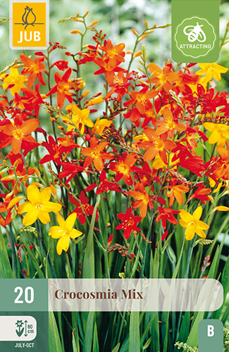 CROCOSMIA (MONTBRÉCIA) MIX - 20 ks