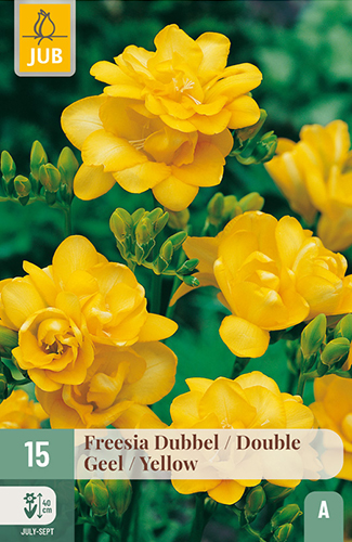 FRÉZIA PLNOKVETÁ YELLOW - 15 ks