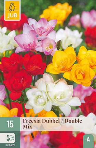 FRÉZIA PLNOKVETÁ MIX - 15 ks