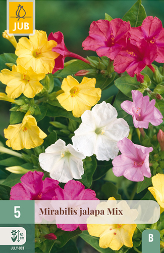 MIRABILIS JALAPA MIX - 5 ks