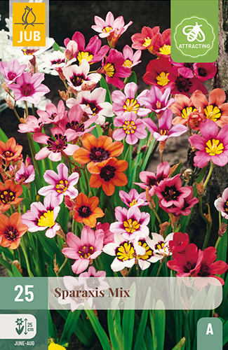 SPARAXIS MIX - 25 ks