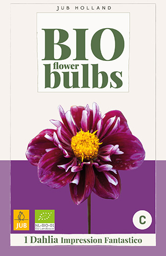 DÁLIA (GEORGÍNA) IMPRESSION FANTASTICO BIO - 1 ks