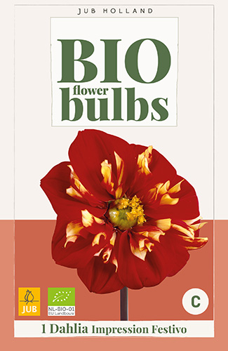 DÁLIA (GEORGÍNA) IMPRESSION FESTIVO BIO - 1 ks