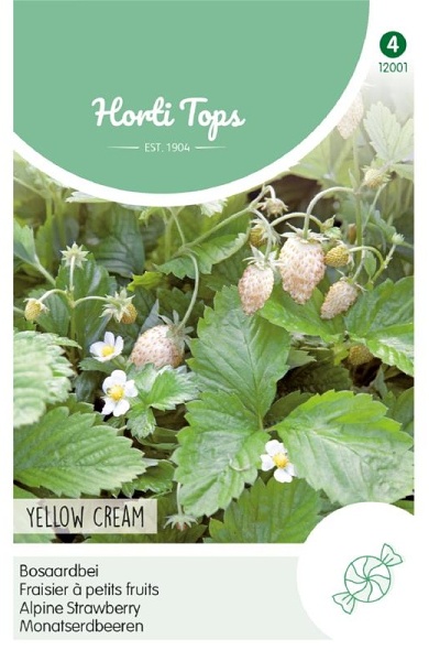 Jahoda lesná biela Yellow Cream cca 0,25 g