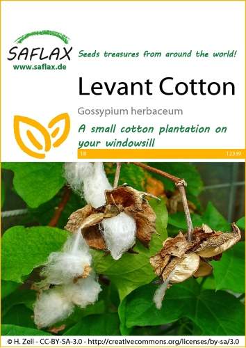 Bavlník bylinný Gossypium herbaceum cca 12 semien